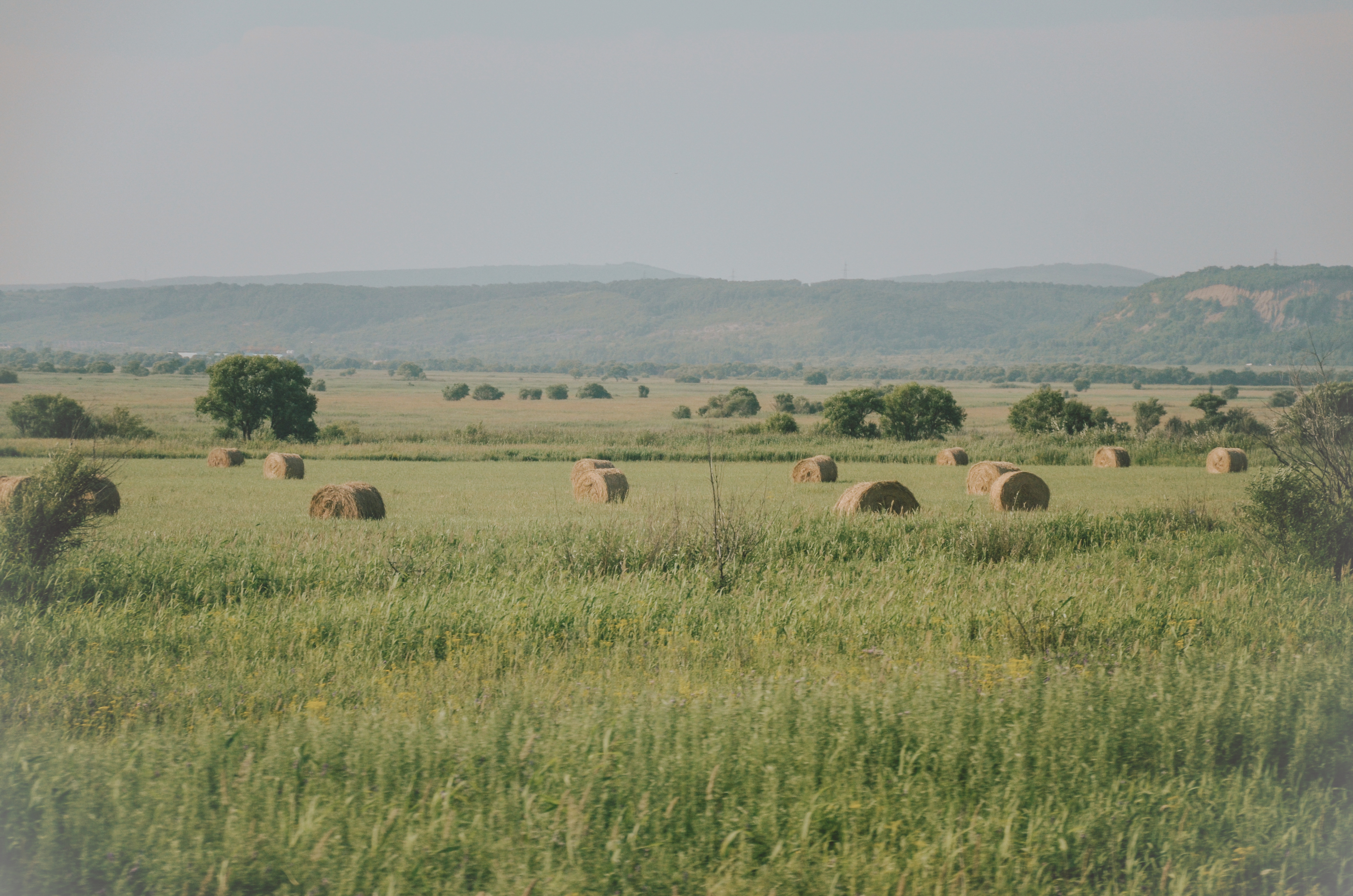 rural landscape